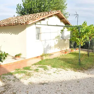 La Vite Sul Tetto Agugliano